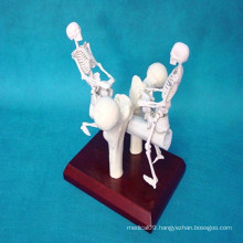 Artificial Human Skeleton Model Medical Gift Products